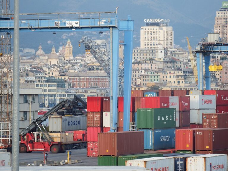 Terminal container nel porto di Genova