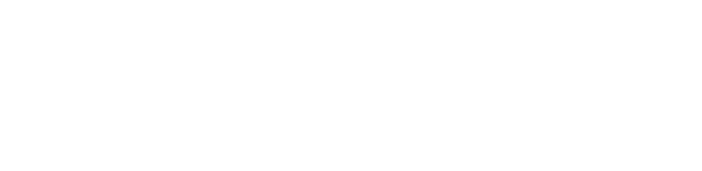 GeoVision